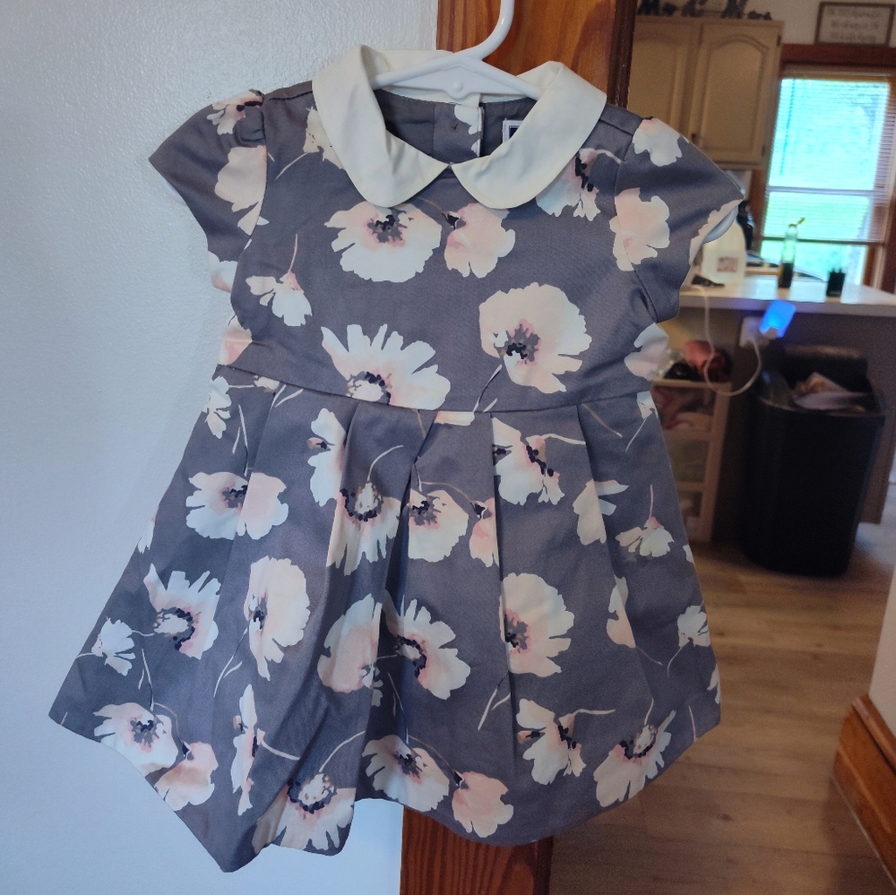 Janie And Jack 3-6 Months Floral Gray Baby Dress